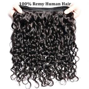 img 1 attached to 🌊 Brazilian Water Wave Human Hair Bundles - 10A Virgin Hair, Curly Weave, 3 Bundles - 100% Unprocessed Remy Human Hair, Wet and Wavy Hair Extensions