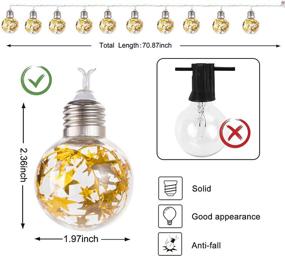 img 3 attached to 🎄 MTSCE Christmas Lights Indoor: Shatterproof Crystal Globe String Lights for Bedroom Party, Battery Operated 10 LED 71 Inch, Ideal for Wedding Christmas Tree Decorations and Outdoor Indoor Use