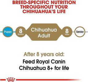 img 1 attached to 🐶 Optimal Nutrition for Adult Chihuahuas: Royal Canin Breed Health Dry Dog Food