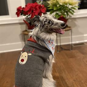 img 3 attached to 🐶 TENGZHI Dog Christmas Sweater Pet Costume XXS Cat Ugly Christmas Sweater Fall Puppy Jumper Dog Outfit for Small Medium Dogs Girl - Cozy Holiday Apparel for Your Furry Friend