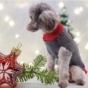 img 2 attached to 🐶 TENGZHI Dog Christmas Sweater Pet Costume XXS Cat Ugly Christmas Sweater Fall Puppy Jumper Dog Outfit for Small Medium Dogs Girl - Cozy Holiday Apparel for Your Furry Friend