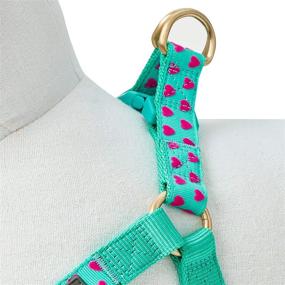 img 1 attached to 🐶 Premium Quality Blueberry Pet Dog Harnesses with 6 Stylish Patterns for Stylish Canine Comfort