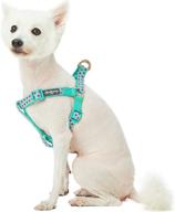 🐶 premium quality blueberry pet dog harnesses with 6 stylish patterns for stylish canine comfort logo