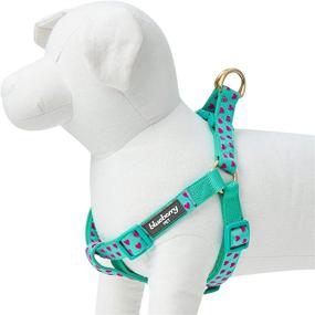 img 2 attached to 🐶 Premium Quality Blueberry Pet Dog Harnesses with 6 Stylish Patterns for Stylish Canine Comfort