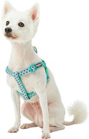 img 3 attached to 🐶 Premium Quality Blueberry Pet Dog Harnesses with 6 Stylish Patterns for Stylish Canine Comfort