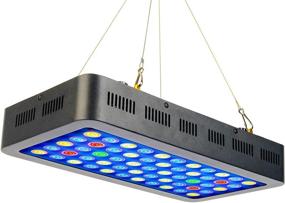 img 4 attached to 🐠 Enhance 30 Gallon Fish Tank with GYIELDS Dimmable 165W Full Spectrum LED Aquarium Light: Perfect for Saltwater and Freshwater Tanks, LPS, and SPS Coral Reef Systems