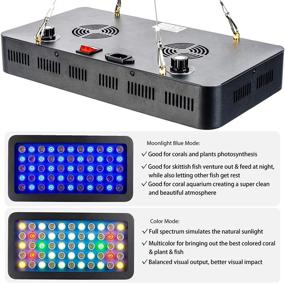 img 3 attached to 🐠 Enhance 30 Gallon Fish Tank with GYIELDS Dimmable 165W Full Spectrum LED Aquarium Light: Perfect for Saltwater and Freshwater Tanks, LPS, and SPS Coral Reef Systems