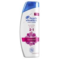 🧴 smooth & silky paraben free 2in1 dandruff shampoo and conditioner by head and shoulders - 12.8 fl oz logo