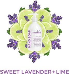 img 2 attached to 🧼 Sapadilla Liquid Dish Soap Variety Pack: Rosemary + Peppermint, Grapefruit + Bergamot, Sweet Lavender + Lime - 16oz