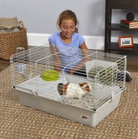 img 3 attached to Ferplast Cavie Guinea Pig and Rabbit Cage Kit, Complete with Accessories, 1-Year Warranty