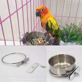 img 2 attached to 🦜 Old Tjikko Small Animal Feeder Water Cup with Holder - 10oz, 20oz, 30oz, Stainless Steel Cage Coop Hook Bowl for Birds, Hamsters, and Small Animals