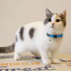 img 2 attached to Colorful Kitten Collar with Bell - Adjustable Breakaway Cat Collar for Cute Girls - Small Nylon Pet Collars in Red, Blue, Black, Pink, Orange, and Sky Blue (Set of 3)