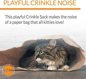 img 2 attached to 🐱 K&amp;H PET PRODUCTS Kitty Crinkle Sack Cat Bed by K&amp;H