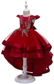 img 3 attached to FMYFWY Embroidery Dresses: Perfect Princess Birthday Girls' Clothing for Dresses