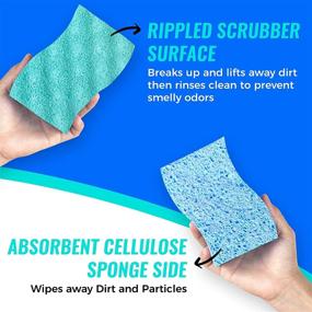 img 1 attached to 🧽 SCRUBIT Multi-Use Scrub Sponge – Non-Scratch Kitchen Sponges for Dishes, Pots & Pans - Heavy Duty & Odor-Free Rippled Scrubbing Pad, Designed for Tough Cleaning Jobs, Pack of 6