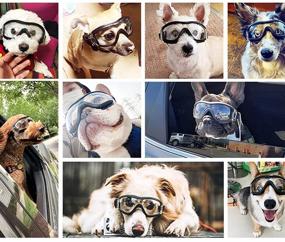 img 1 attached to 🐶 NACOCO Pet Glasses: Stylish Sunglasses for Golden Retrievers and Samoyeds