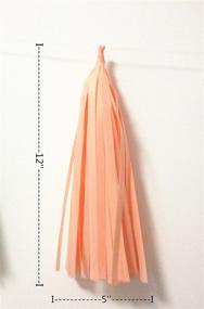 img 1 attached to 🎉 Stunning 16 X Originals Group Mint Pink Gold Apricot Tissue Paper Tassels - Perfect for Party, Wedding, and Gold Garland Bunting Pom Pom Décor!