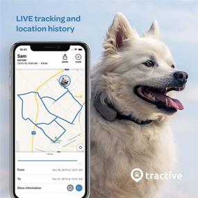 img 2 attached to Tractive LTE GPS Dog Tracker Cats