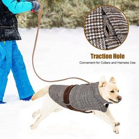 img 1 attached to 🐶 Dog Winter Coat - Warm Jacket for Medium to Large Dogs, Ideal for Cold Weather