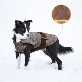 img 3 attached to 🐶 Dog Winter Coat - Warm Jacket for Medium to Large Dogs, Ideal for Cold Weather