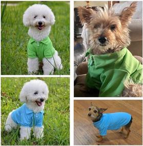 img 2 attached to 👕 TOLOG 4 Pack Dog T-Shirt: Comfy & Breathable Summer Clothing for Dogs & Cats