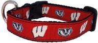 🐾 medium size collegiate dog collar - ncaa wisconsin badgers logo