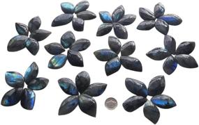 img 1 attached to 🍁 Natural Labradorite Leaf Shaped Crystals and Healing Stones Pendants - Gemgogo 5 Pack for DIY-Jewelry Making, Room Decor Gemstone