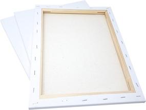 img 2 attached to 🖼️ Milo Stretched Artist Canvas 16x20 inch: Value Pack of 6 Canvases for Acrylic, Oil, Mixed Wet Media, & Pouring – Primed and Ready to Paint Art Supplies, 100% Cotton with Pine Wood Frame