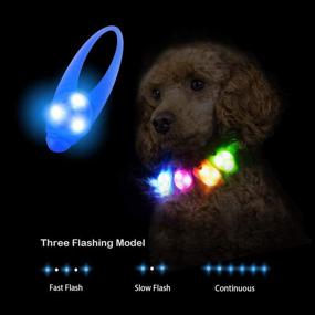 img 3 attached to 🔦 Enhance Nighttime Dog Safety with LaRoo Dog Lights - LED Clip-On Collar Lights for Night Walking and Increased Visibility