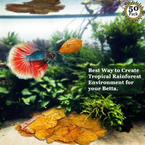 img 2 attached to 🌿 SunGrow Mini Catappa Leaves for Fish: Naturally Replicate Native Habitat, Stress Relief for Betta, Easy to Use - 50 Leaves per Pack