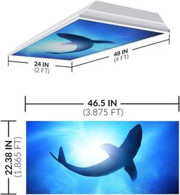 img 3 attached to OCTO LIGHTS Ocean 007: Fluorescent Light Covers to Soothe Eyes and Enhance Office & Classroom Decor- Say Goodbye to Glare and Headaches!