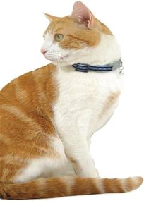 img 1 attached to 🐱 Dark Blue Reflective Cat Collar by Red Dingo - One Size Fits All