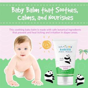 img 3 attached to 🧴 Hamilton Babies Natty Nate Soothing Booty Balm: Natural Relief for Baby's Delicate Skin - 3.3 fl oz / 98 mL