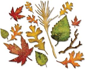 img 2 attached to 🍁 Sizzix 660955 Thinlits Die Set, Fall Foliage by Tim Holtz: Enhance Your Crafts with 14/Pack