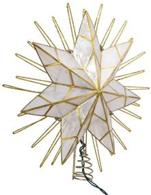 img 4 attached to 🌟 Kurt Adler 14-inch Capiz Star Lighted Treetop with 7 Points