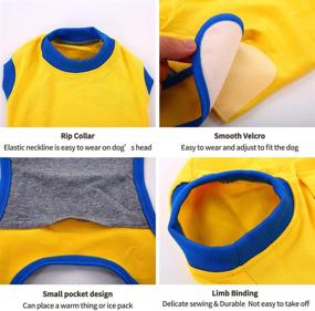 img 1 attached to 👕 DENTRUN Dog Surgery Recovery Suit: Post-Operative Vest for Male & Female Dogs, Abdominal Wound Bandage Protector & Weaning Shirt - XS-XXL Sizes