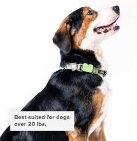 img 1 attached to 🐶 GO Whistle Pet Collars: Explore, Track, and Locate