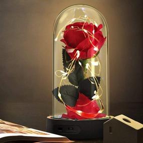 img 4 attached to 🌹 Enchanted Beauty and The Beast Rose: LED Red Silk Lamp for Valentine's, Mother's Day, Anniversary and More