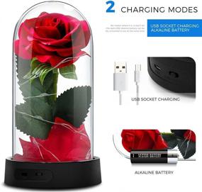 img 1 attached to 🌹 Enchanted Beauty and The Beast Rose: LED Red Silk Lamp for Valentine's, Mother's Day, Anniversary and More
