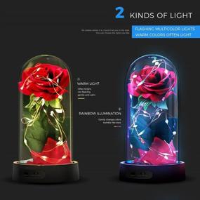 img 2 attached to 🌹 Enchanted Beauty and The Beast Rose: LED Red Silk Lamp for Valentine's, Mother's Day, Anniversary and More