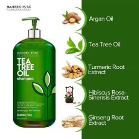 img 2 attached to MAJESTIC PURE Tea Tree Shampoo and Conditioner Set - Hydrating and Fighting Dandruff, Lice & Itchy Scalp - Sulfate Free - 16 fl oz each - For All Hair Types - Men and Women