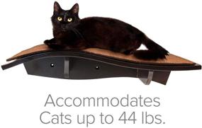 img 1 attached to 🐱 Arf Pets Cat Perch: Wall-Mounted Wooden Shelf for Natural Kitty Activity, Fun Exercise - Sturdy Feline Furniture, Holds Up to 44 lbs. (2 Pack)