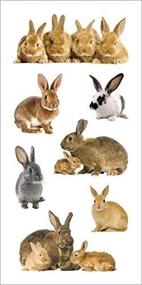 img 2 attached to Paper House Productions ST-2221E Photo Real Stickypix Stickers: Adorable 2x4-Inch Bunny Designs