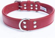 premium alpine leather dog collar: padded, double ply, ideal for miniature poodle, bichon frise, and min pin logo