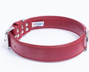 img 3 attached to Premium Alpine Leather Dog Collar: Padded, Double Ply, Ideal for Miniature Poodle, Bichon Frise, and Min Pin