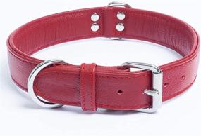 img 2 attached to Premium Alpine Leather Dog Collar: Padded, Double Ply, Ideal for Miniature Poodle, Bichon Frise, and Min Pin