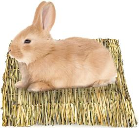 img 3 attached to 🐇 Meric Seagrass Rabbit Mat: Protective Paw Cover, Soothe Sore Hocks, Handcrafted Woven Play Bed, Edible Chewable Toy, Ideal for Cages or Floors, Single Piece