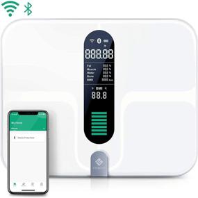 img 4 attached to 📊 Enhanced Etekcity Body Weight Scale: Wifi, Bluetooth Connectivity, Rechargeable, Precise Body Fat, BMI & 12 Data Points, with ITO Conductive Glass & Extra-Large Platform