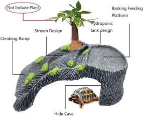 img 3 attached to 🐢 Turtle Basking Platform Tfwadmx - Resin Reptile Climbing Ramp, Basking Shelf, Floating Ledge - Aquarium Hide Cave Resting Rock for Lizards, Geckos, Frogs, Newts, Bearded Dragons