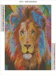 img 2 attached to Painting Colorful Rhinestone Embroidery 11 8X15 8 Needlework